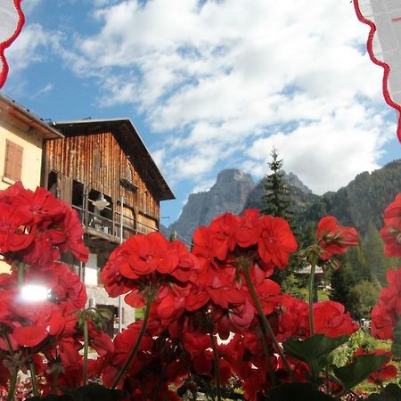 Dolomites Holidays Selva di Cadore Pokoj fotografie
